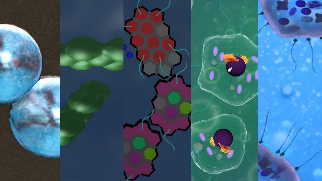 YouTube Video Thumbnail