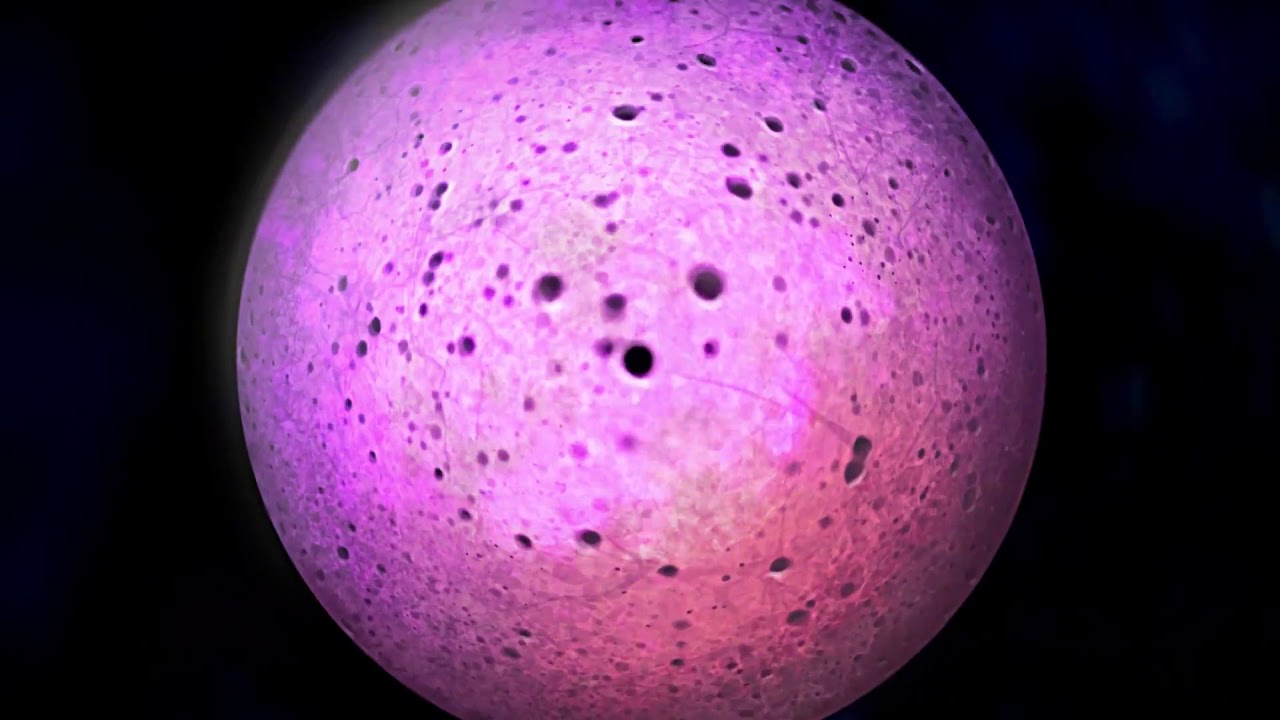 YouTube Video Thumbnail