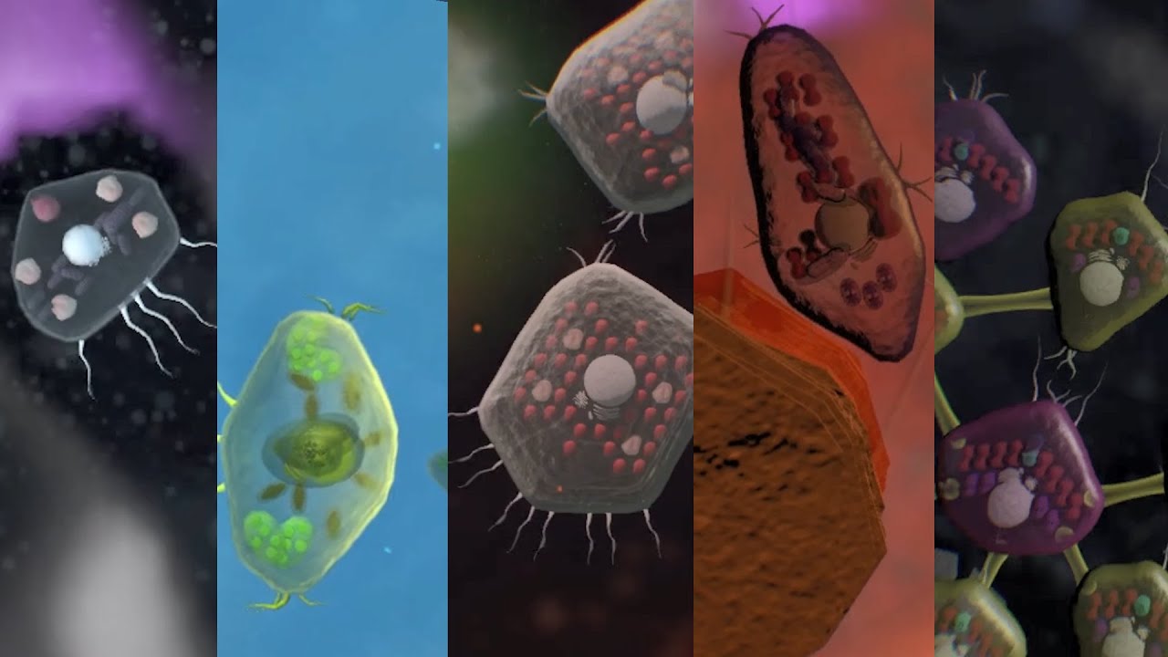 YouTube Video Thumbnail