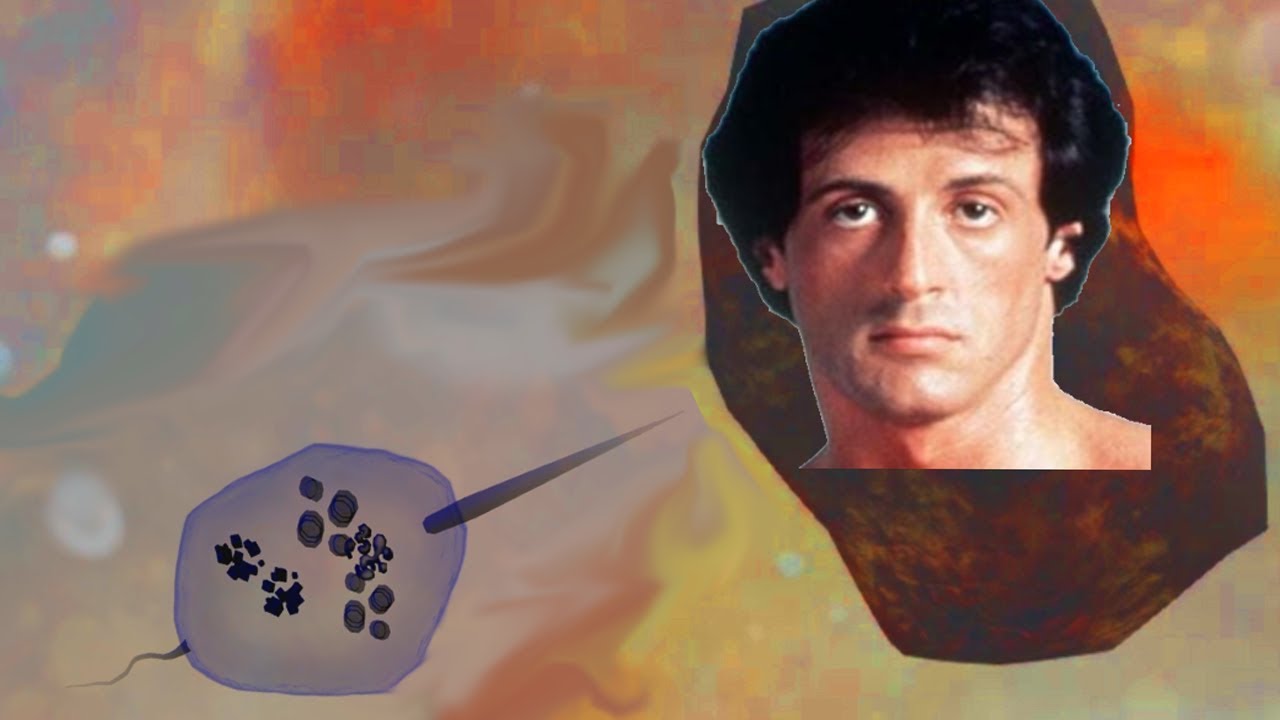 YouTube Video Thumbnail